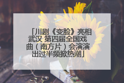 川剧《变脸》亮相武汉 第四届全国戏曲（南方片）会演演出过半频掀热潮