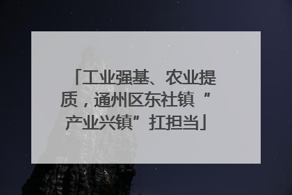 工业强基、农业提质，通州区东社镇“产业兴镇”扛担当