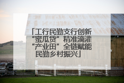 工行民勤支行创新“蜜瓜贷”精准滴灌“产业田”全链赋能民勤乡村振兴
