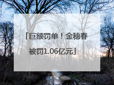 巨额罚单！金穗春被罚1.06亿元