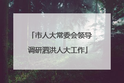 市人大常委会领导调研泗洪人大工作