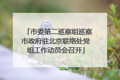 市委第二巡察组巡察市政府驻北京联络处党组工作动员会召开