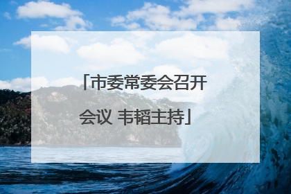 市委常委会召开会议 韦韬主持