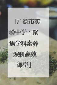 广德市实验中学：聚焦学科素养 深耕高效课堂