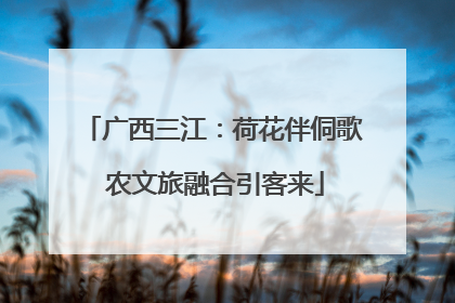 广西三江：荷花伴侗歌 农文旅融合引客来