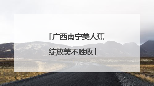 广西南宁美人蕉绽放美不胜收