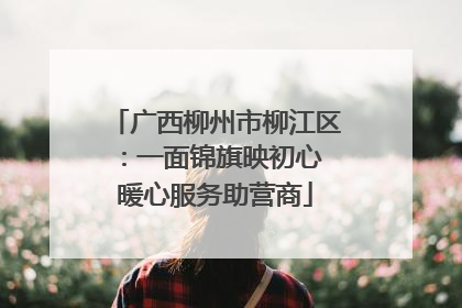 广西柳州市柳江区：一面锦旗映初心 暖心服务助营商