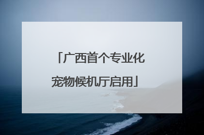 广西首个专业化宠物候机厅启用