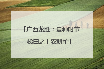 广西龙胜：夏种时节 梯田之上农耕忙