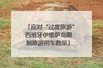 应对“过度旅游” 西班牙伊维萨岛限制旅游用车数量