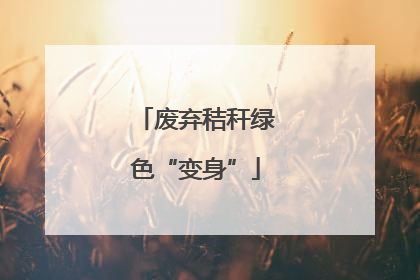 废弃秸秆绿色“变身”
