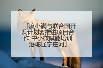度小满与联合国开发计划署推进项目合作 中小微赋能培训落地辽宁庄河