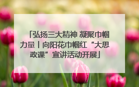 弘扬三大精神 凝聚巾帼力量丨向阳花巾帼红“大思政课”宣讲活动开展