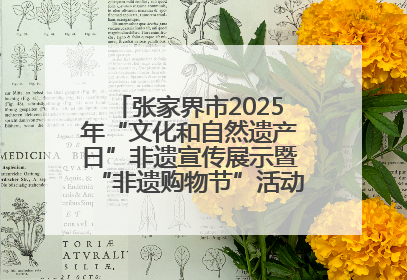 张家界市2025年“文化和自然遗产日”非遗宣传展示暨“非遗购物节”活动在慈利县盛大启幕