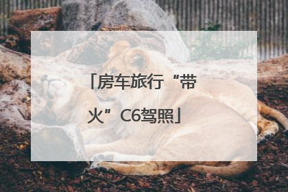 房车旅行“带火”C6驾照