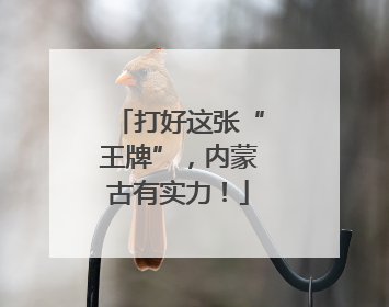 打好这张“王牌”，内蒙古有实力！
