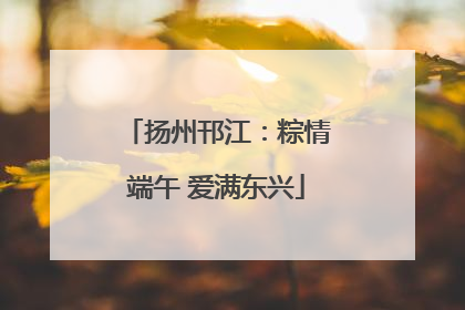 扬州邗江：粽情端午 爱满东兴