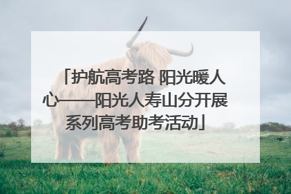 护航高考路 阳光暖人心——阳光人寿山分开展系列高考助考活动