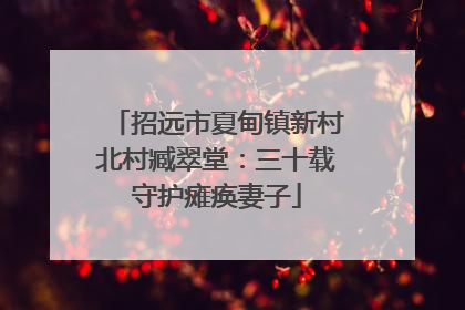 招远市夏甸镇新村北村臧翠堂：三十载守护瘫痪妻子