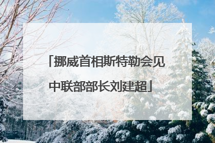 挪威首相斯特勒会见中联部部长刘建超