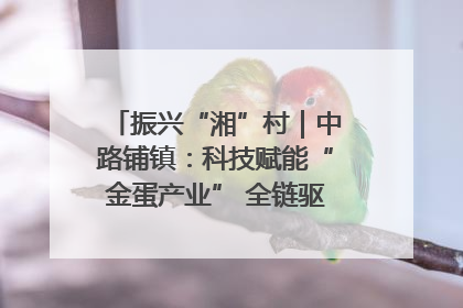振兴“湘”村｜中路铺镇：科技赋能“金蛋产业” 全链驱动乡村振兴