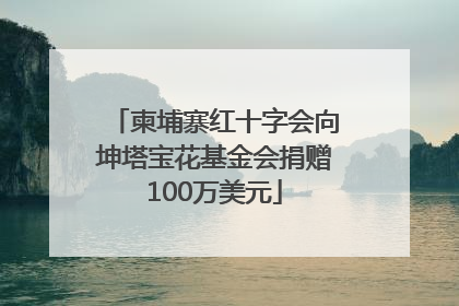 柬埔寨红十字会向坤塔宝花基金会捐赠100万美元