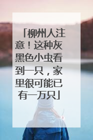 柳州人注意！这种灰黑色小虫看到一只，家里很可能已有一万只