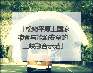 松嫩平原上国家粮食与能源安全的三峡融合示范