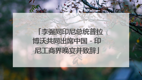 李强同印尼总统普拉博沃共同出席中国－印尼工商界晚宴并致辞