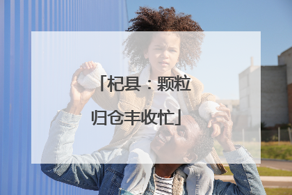 杞县：颗粒归仓丰收忙