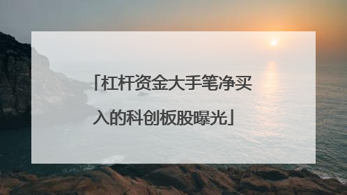 杠杆资金大手笔净买入的科创板股曝光