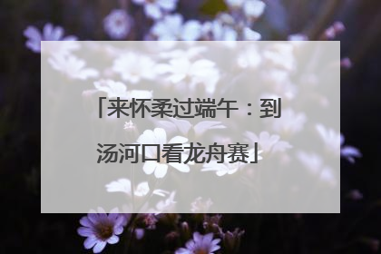 来怀柔过端午：到汤河口看龙舟赛