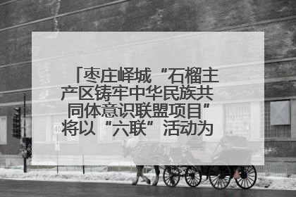 枣庄峄城“石榴主产区铸牢中华民族共同体意识联盟项目”将以“六联”活动为抓手深化品牌建设