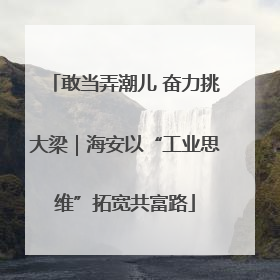 敢当弄潮儿 奋力挑大梁｜海安以“工业思维”拓宽共富路