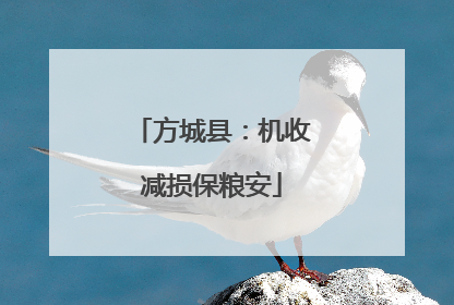 方城县：机收减损保粮安