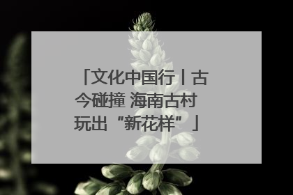 文化中国行丨古今碰撞 海南古村玩出“新花样”