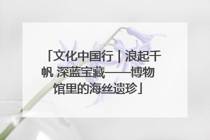 文化中国行｜浪起千帆 深蓝宝藏——博物馆里的海丝遗珍