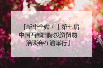 新华全媒＋丨第七届中国西部国际投资贸易洽谈会在渝举行