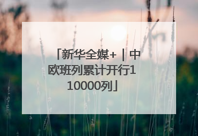 新华全媒+｜中欧班列累计开行110000列