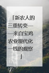 新农人的三重转变——来自宝鸡农业现代化一线的观察