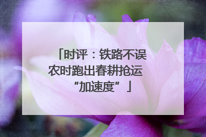时评：铁路不误农时跑出春耕抢运“加速度”