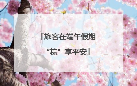 旅客在端午假期“粽”享平安