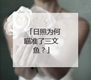 日照为何瞄准了三文鱼？