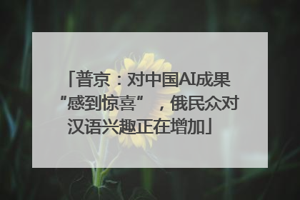 普京：对中国AI成果“感到惊喜”，俄民众对汉语兴趣正在增加