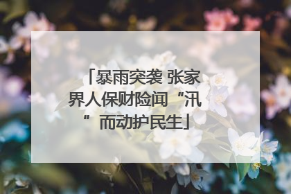 暴雨突袭 张家界人保财险闻“汛”而动护民生