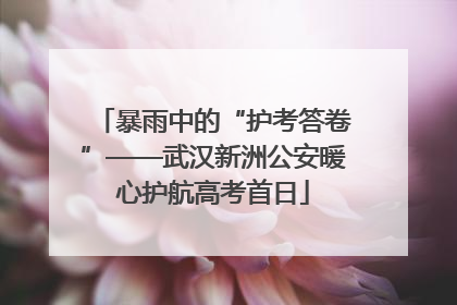 暴雨中的“护考答卷”——武汉新洲公安暖心护航高考首日