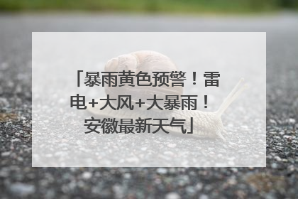 暴雨黄色预警！雷电+大风+大暴雨！安徽最新天气