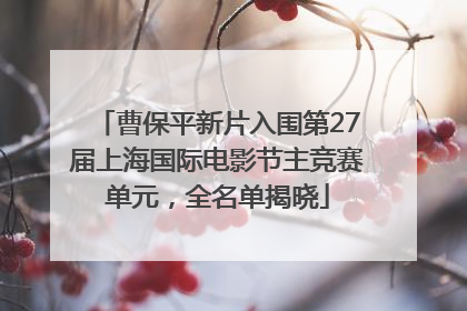 曹保平新片入围第27届上海国际电影节主竞赛单元，全名单揭晓