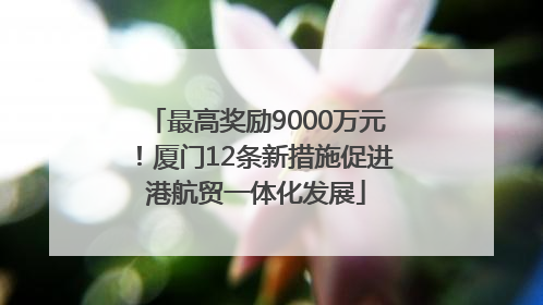 最高奖励9000万元！厦门12条新措施促进港航贸一体化发展