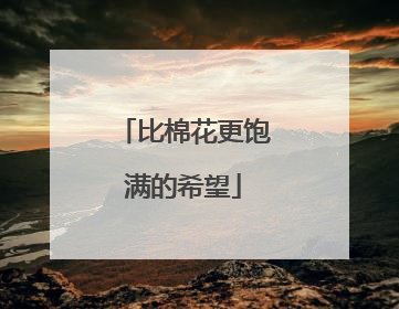 比棉花更饱满的希望